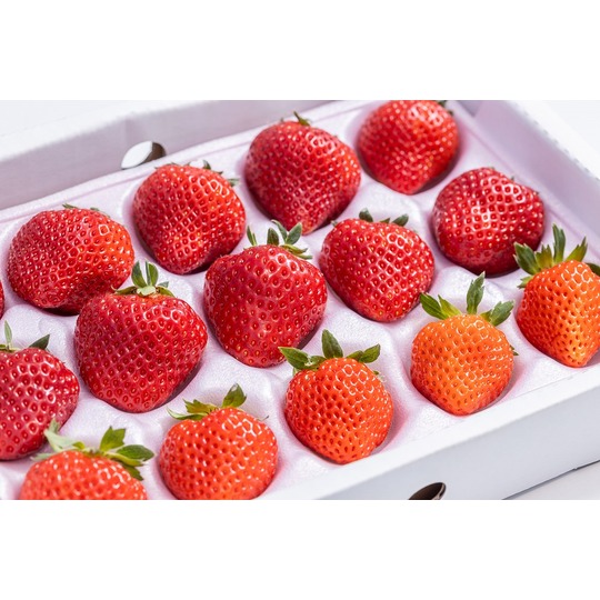 AIMARI FARM～あいまり農園～｜天空のいちご園