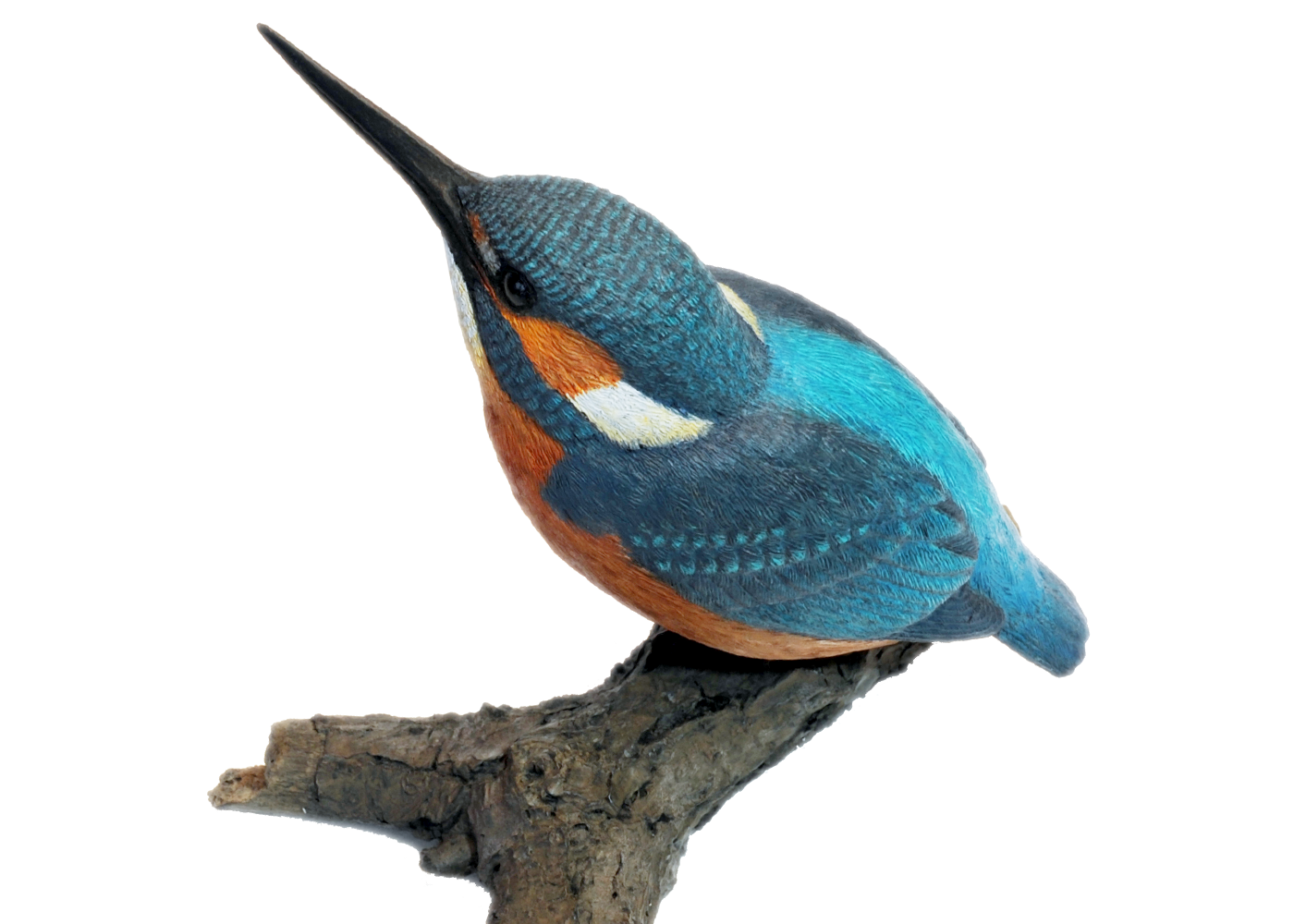 鳥 フィギュア / あかひげ工房