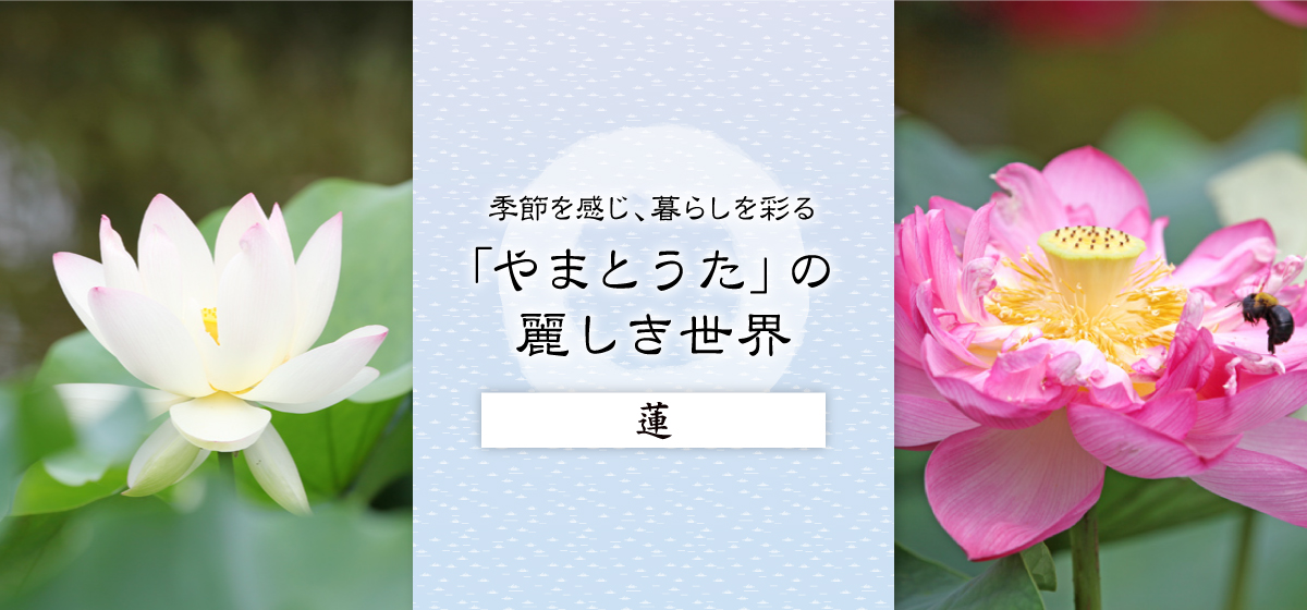 心に咲く花 7回 蓮 | WEB BOSCO