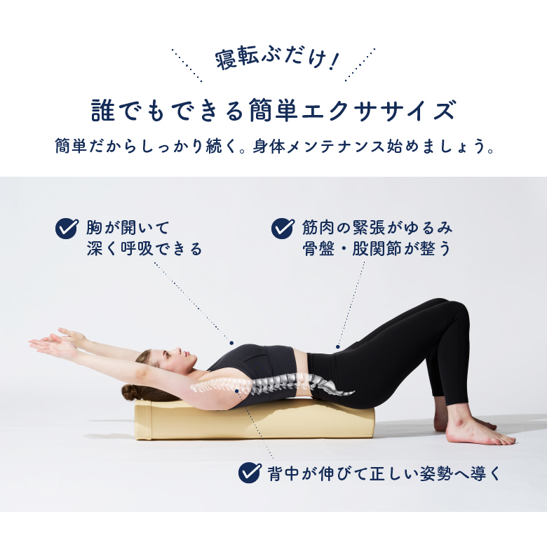 エクササイズポール WBF200 (新品)