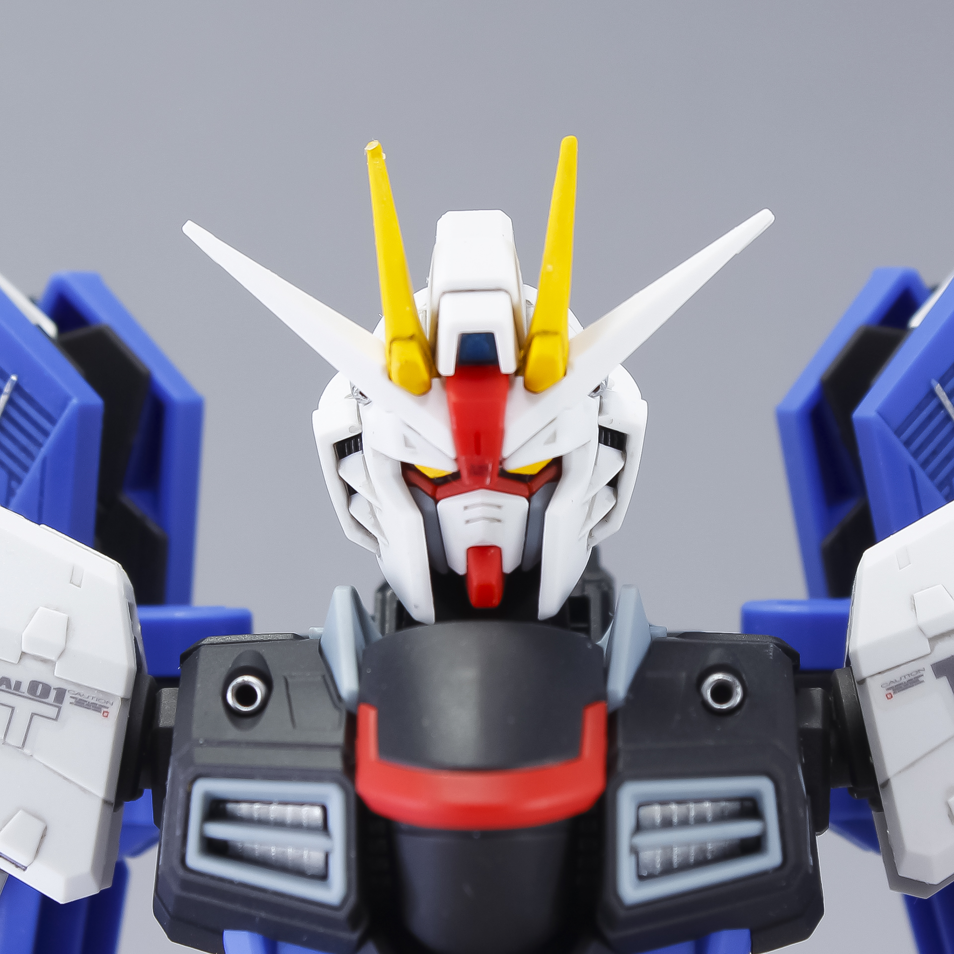 フルメカニクス 1/100 フリーダムガンダム Ver.GCP レビュー