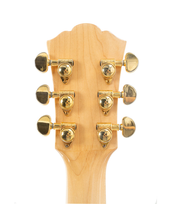 Pre-Owned Washburn HB-35NK Semi-Hollow Electric Guitar | UsedAlamo