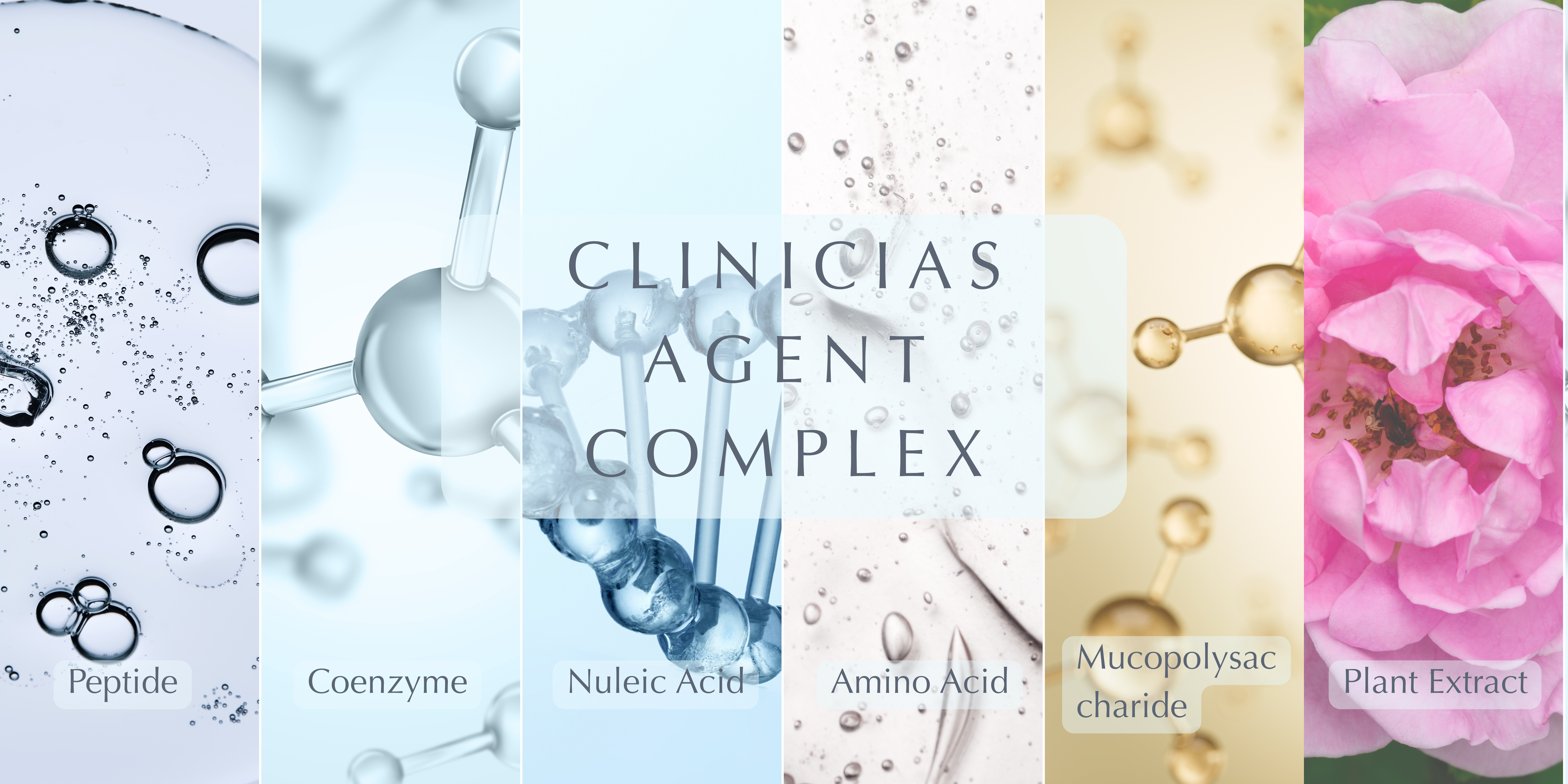 EXCIA Clinicias Days – Albion Garden