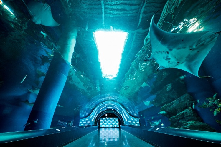 Facility guide | Maxell Aqua Park Shinagawa-maxell AQUA PARK SHINAGAWA