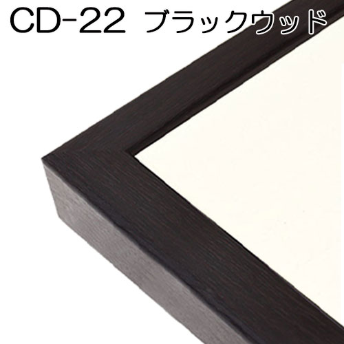 出展用仮額縁:CD-22(CD22)標準タイプ (S:ステン) | マルニ額縁画材店