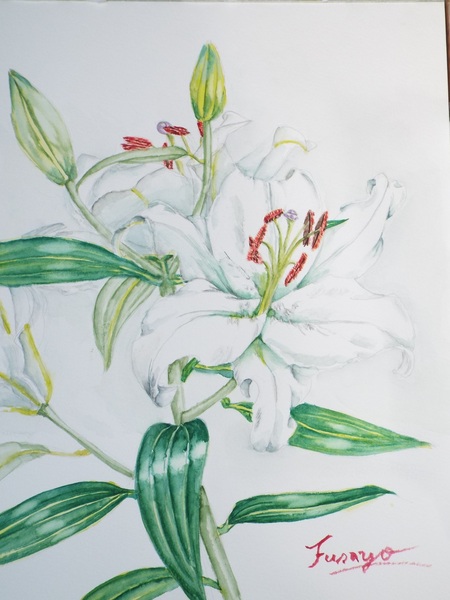 百合(カサブランカ)」 by ふさよ｜Artmeter｜暮らしを彩るアートが