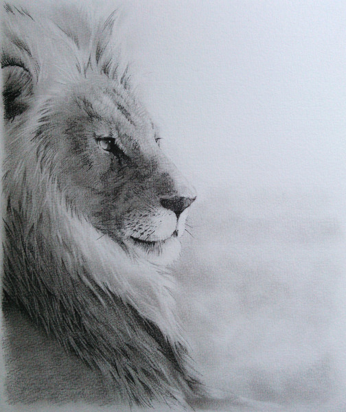 ライオン」 by N｜Artmeter｜暮らしを彩るアートが、きっと見つかる