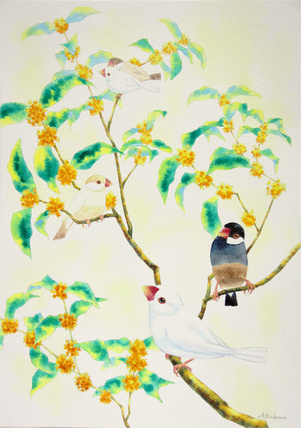 木蓮と桜文鳥」 by こだま｜Artmeter｜暮らしを彩るアートが、きっと