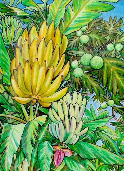 南の島の実のなる植物 バナナとパンの木」 by tonny｜Artmeter｜暮らし