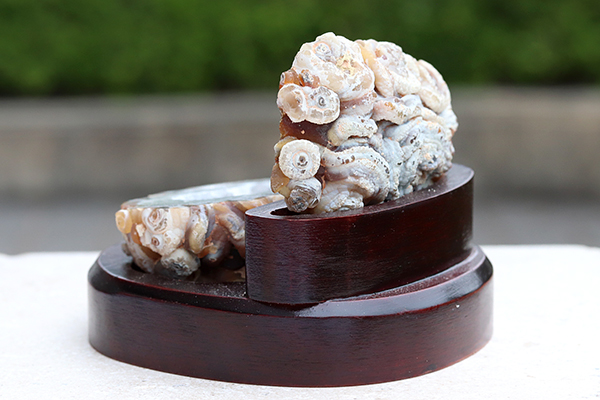 ブラジル産トレジャーメノウ（台座付き）-003水晶クラスター、天然石