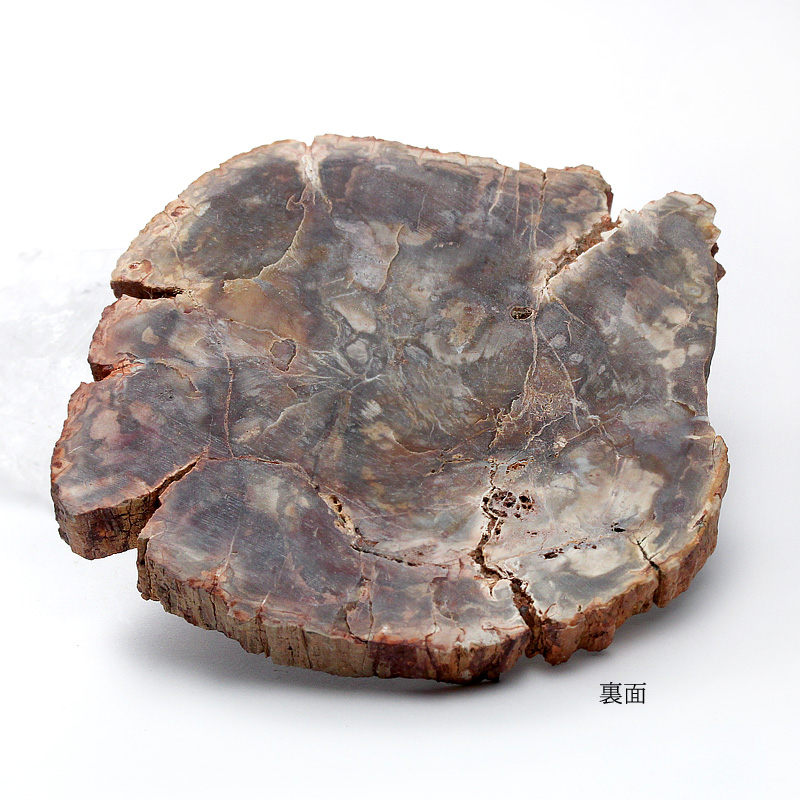 マダガスカル産ペトリファイドウッド（珪化木）磨き-008水晶クラスター