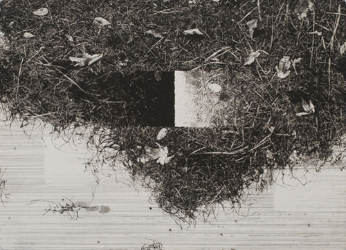 中林忠良銅版画展―すべて腐らないものはない― 町田市立国際版画美術館