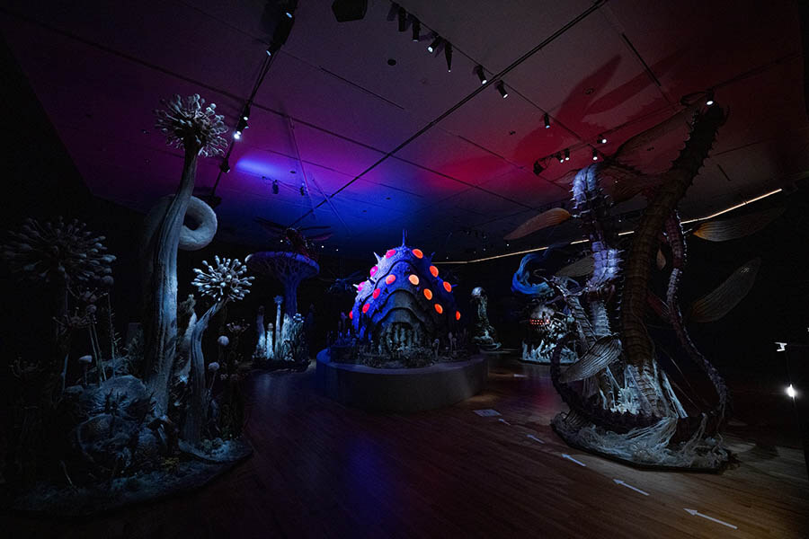 金曜ロードショーとジブリ展 | 京都市京セラ美術館 | 美術館・展覧会