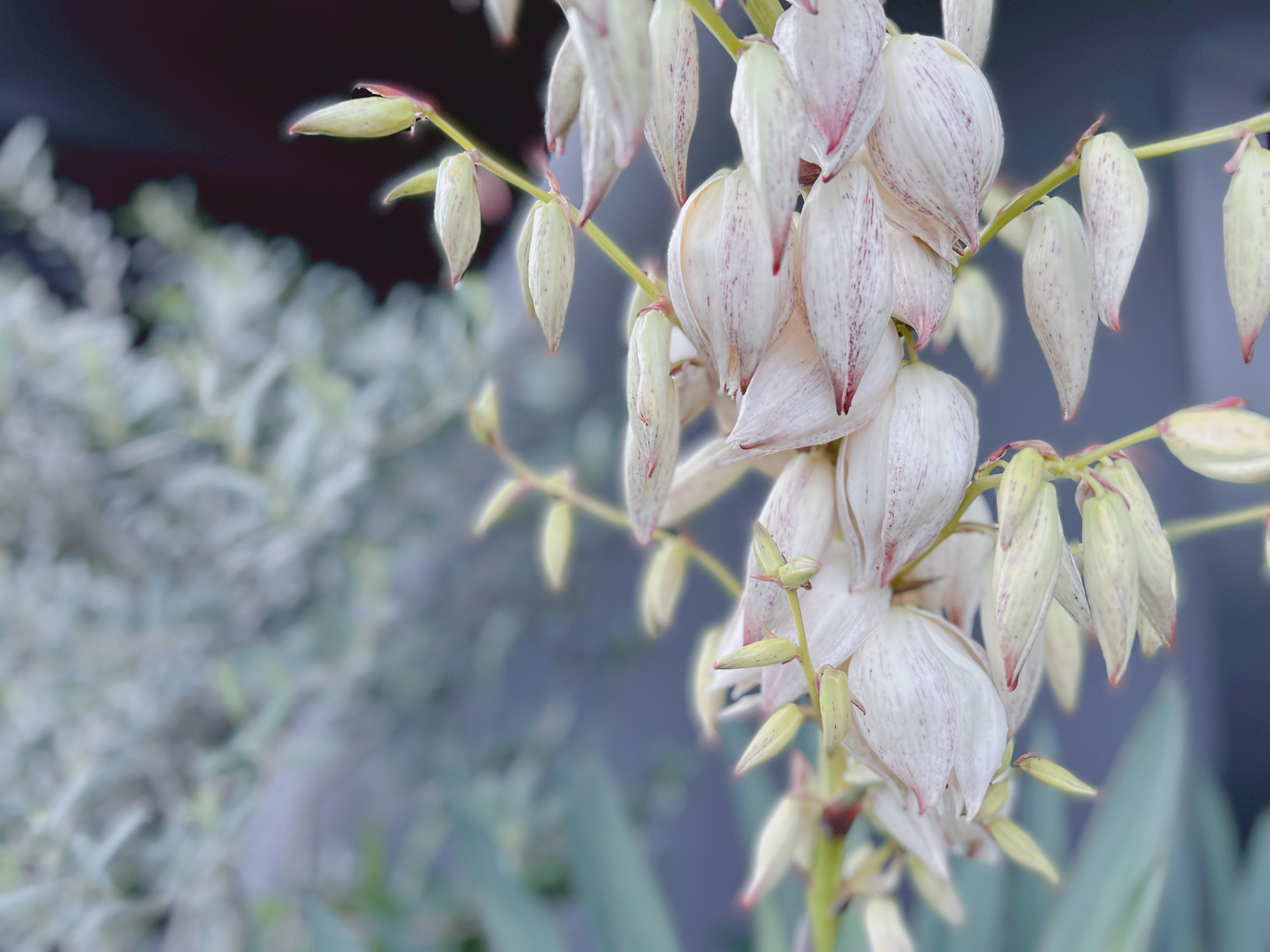 新着情報・ブログ | 新着情報・ブログ | 香川県 高松市｜エクステリア