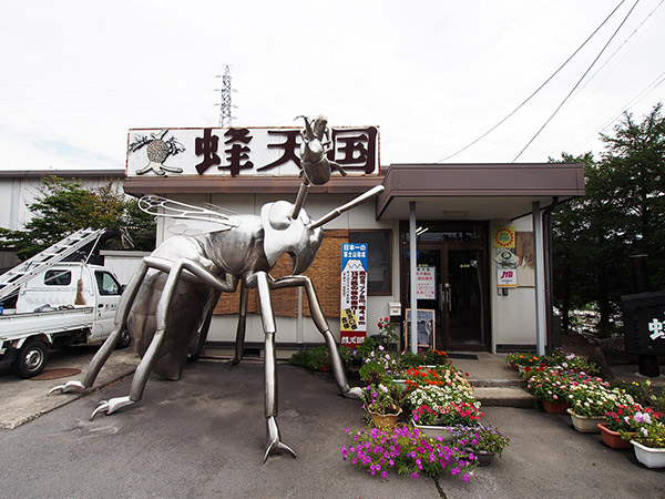 蜂天国(長野県東御市)で巨大蜂の巣を堪能した | 日記 - [ありの木]