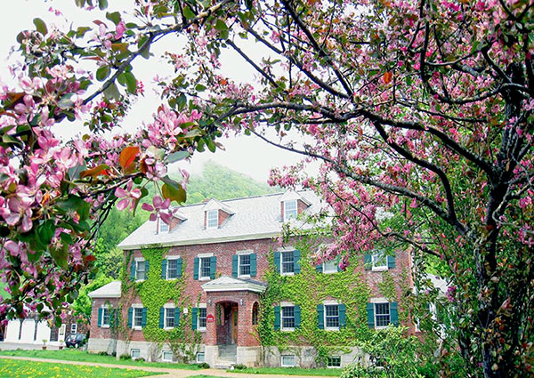 アリス・ファームのご案内