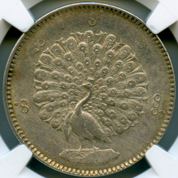ビルマ 孔雀 CS1214(1852)年 KYAT(Rupee) 銀貨 NGC MS63 | ARK NUMISMATICS