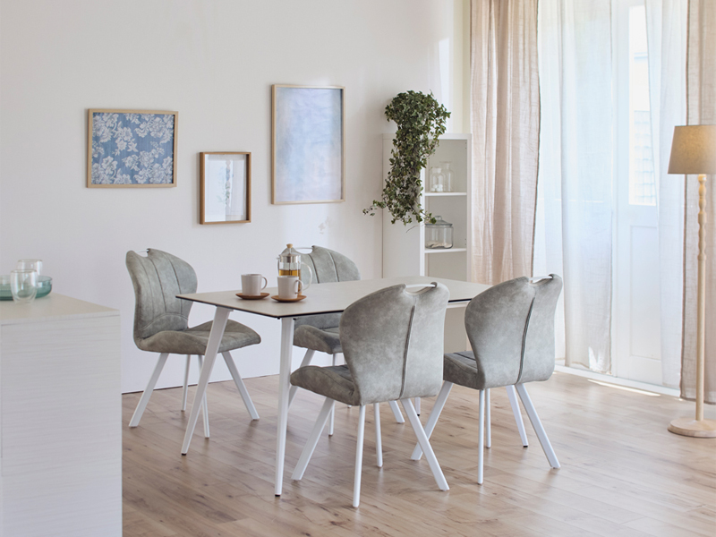 BACKS(バックス)ダイニングチェア/TARNY/ターニー