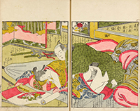 春画を見る・艶本を読む