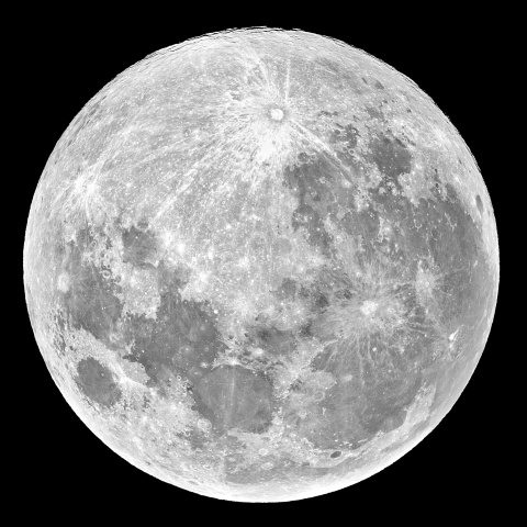 特集 2024年1月26日 ウルフムーン - 天体写真ギャラリー