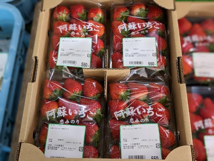 イチゴ🍓が種類豊富に並んでいます | 道の駅 阿蘇
