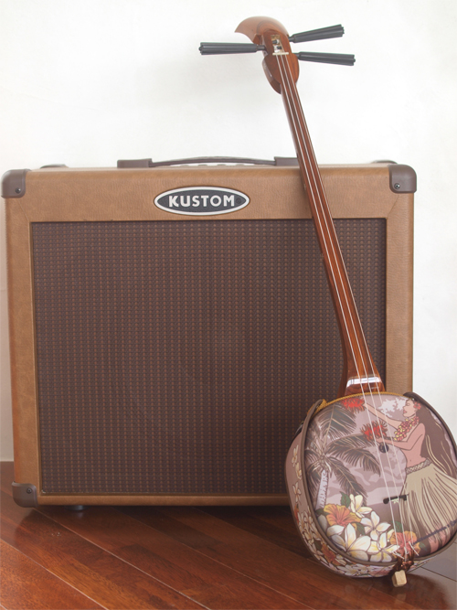 三線 販売｜沖縄の三線専門店【ASOVIVA】