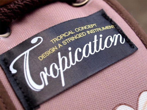 三線 販売｜沖縄の三線専門店【ASOVIVA】