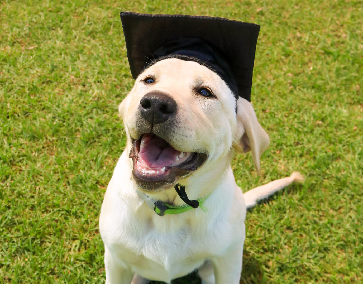 Kicking goals in the Connections Program