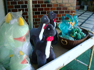 98/09 青虎ちゃんの一人旅 池田湖[鹿児島]