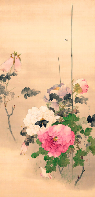 美の履歴書：694）「牡丹に蝶の図」 渡辺省亭 この華やかさ、熱視線