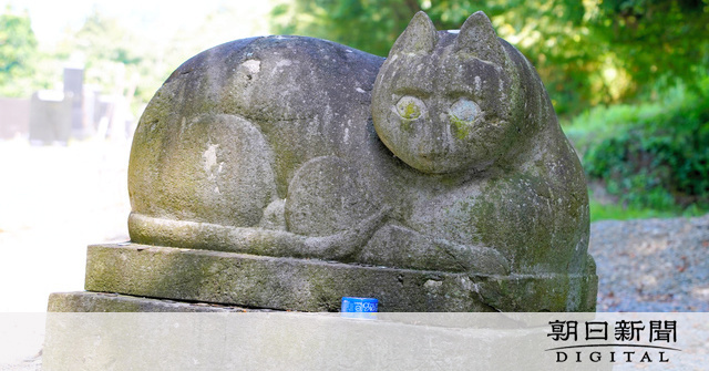 最大級の「猫神様」なぜそこに？ 缶詰のお供えも…愛された歴史 [岩手県