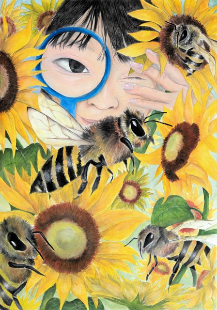 ミツバチ描いて環境を考える コンクールで最高賞の2人の思い [埼玉県
