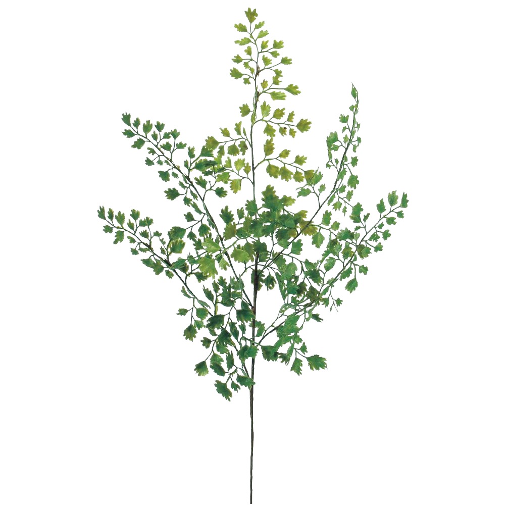 ユーカリリース｜商品案内｜株式会社アスカ商会