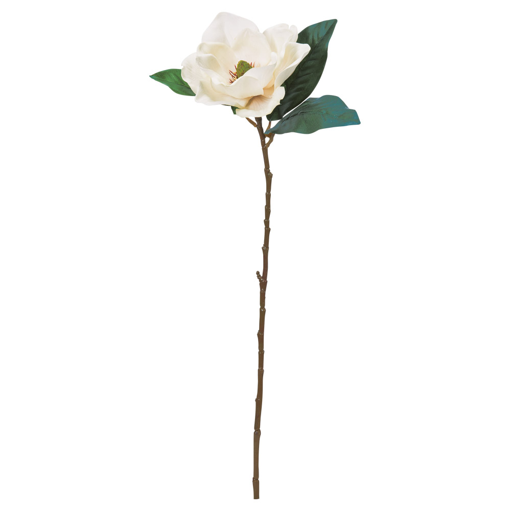 マグノリア｜商品案内｜株式会社アスカ商会