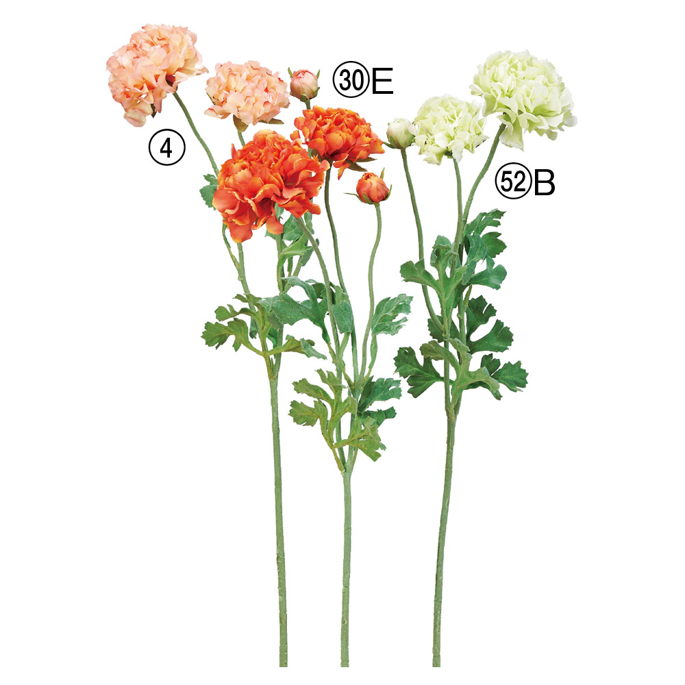 桜×448つぼみ×12｜商品案内｜株式会社アスカ商会