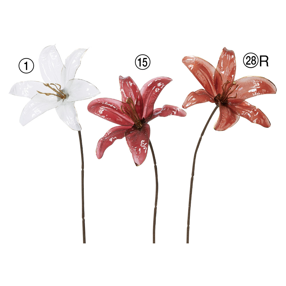 ブーゲンビリア×18｜商品案内｜株式会社アスカ商会