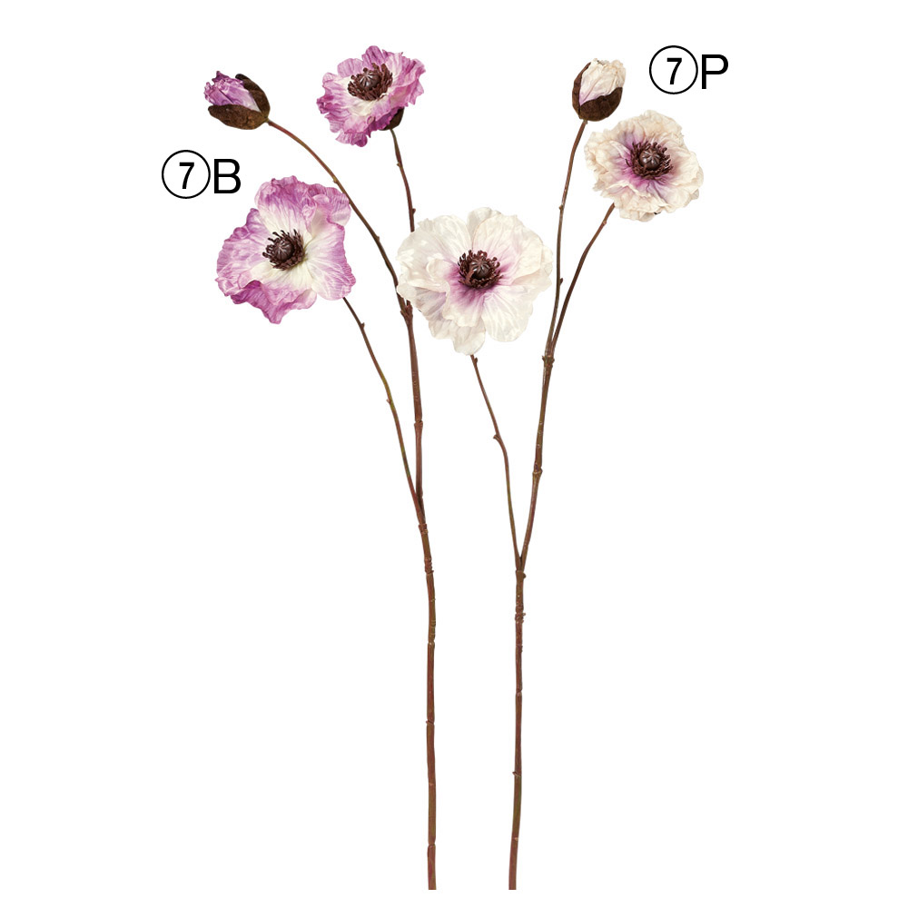 ポピー×2つぼみ×1｜商品案内｜株式会社アスカ商会