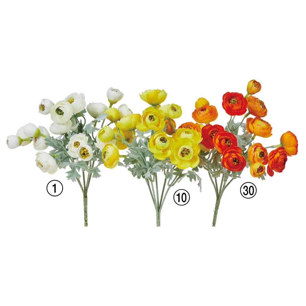 ミモザブッシュ｜商品案内｜株式会社アスカ商会