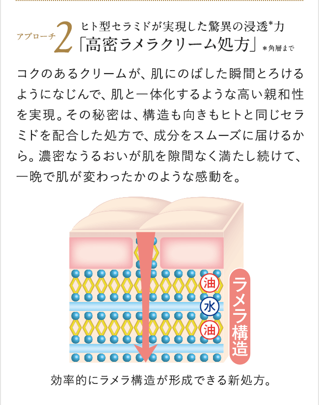 インナーエフェクター ハーフサイズ| アテニア公式オンラインショップ