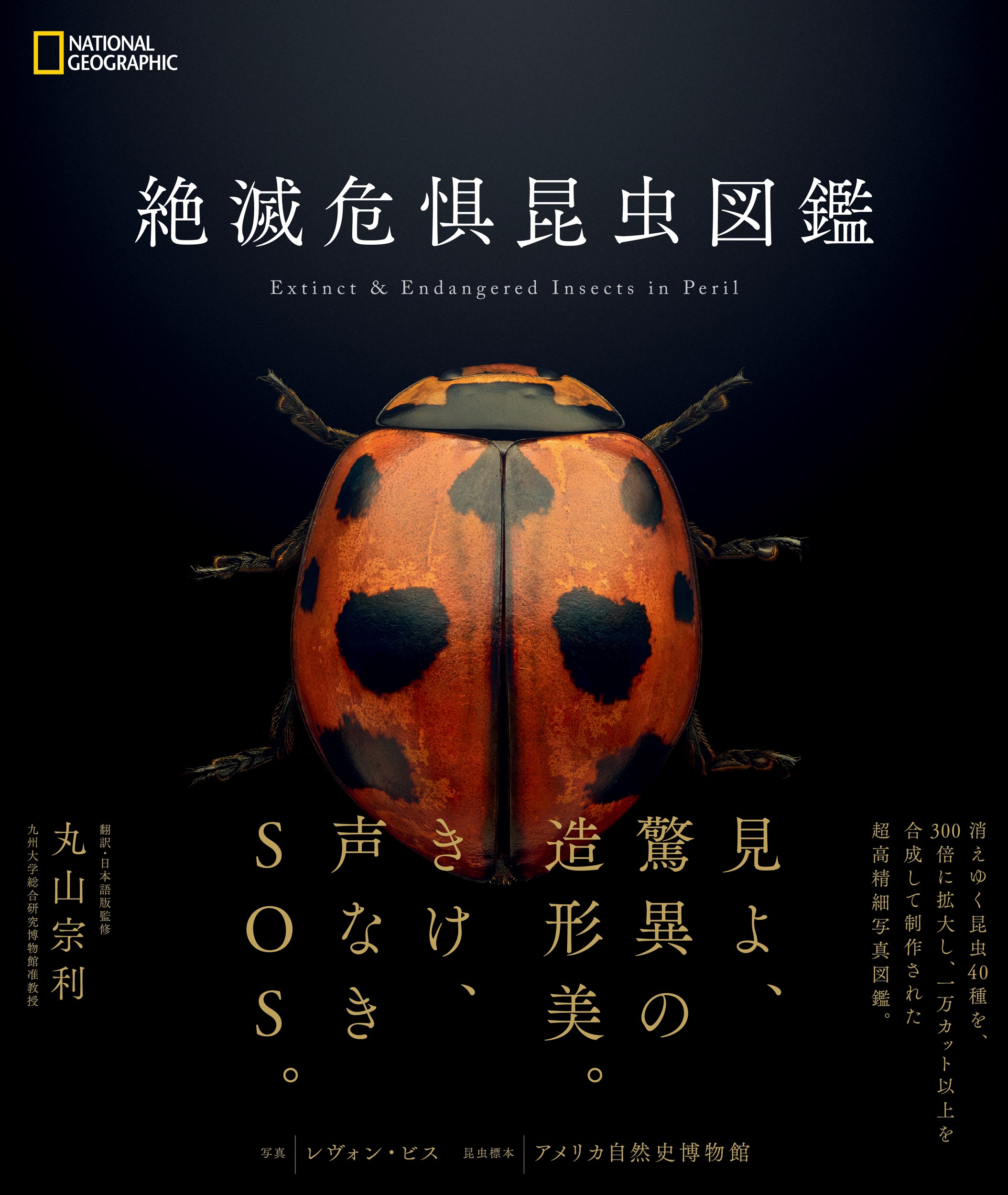 絶滅危惧昆虫図鑑』 4月10日（月）発売 | 日経ナショナル ジオグラフィック