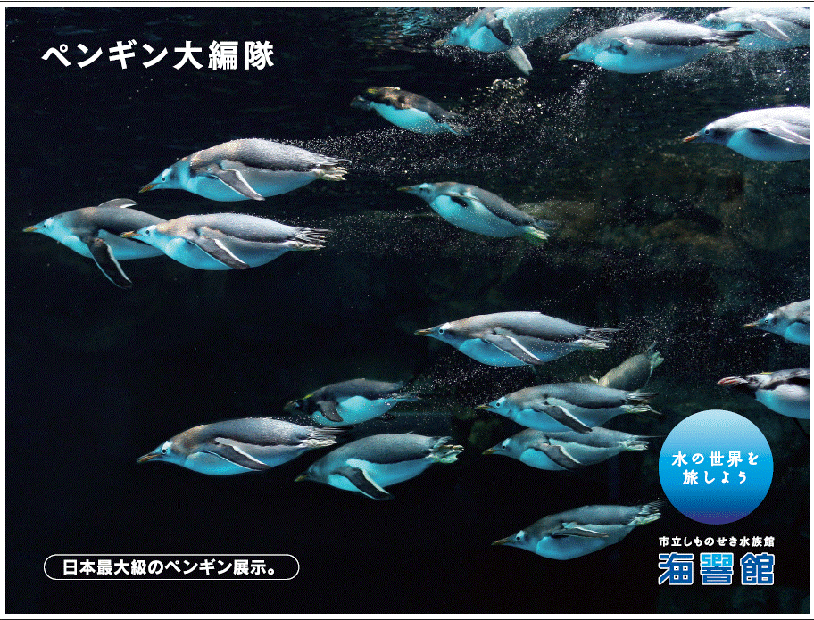 下関市立しものせき水族館・海響館(かいきょうかん)、 日本最大級の