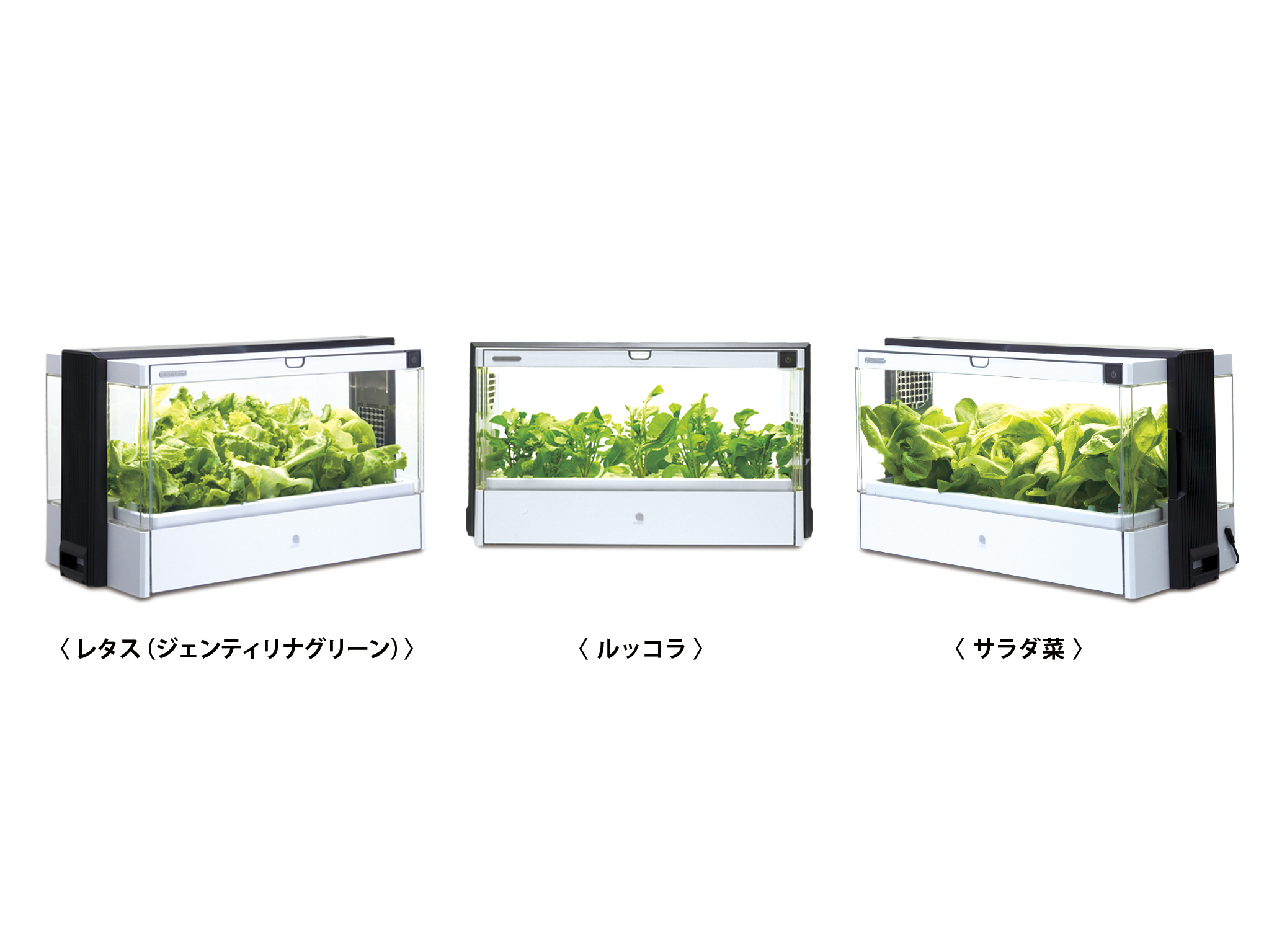 株式会社ユーイングから親子で学べる水耕栽培器 「Green Farm(グリーン