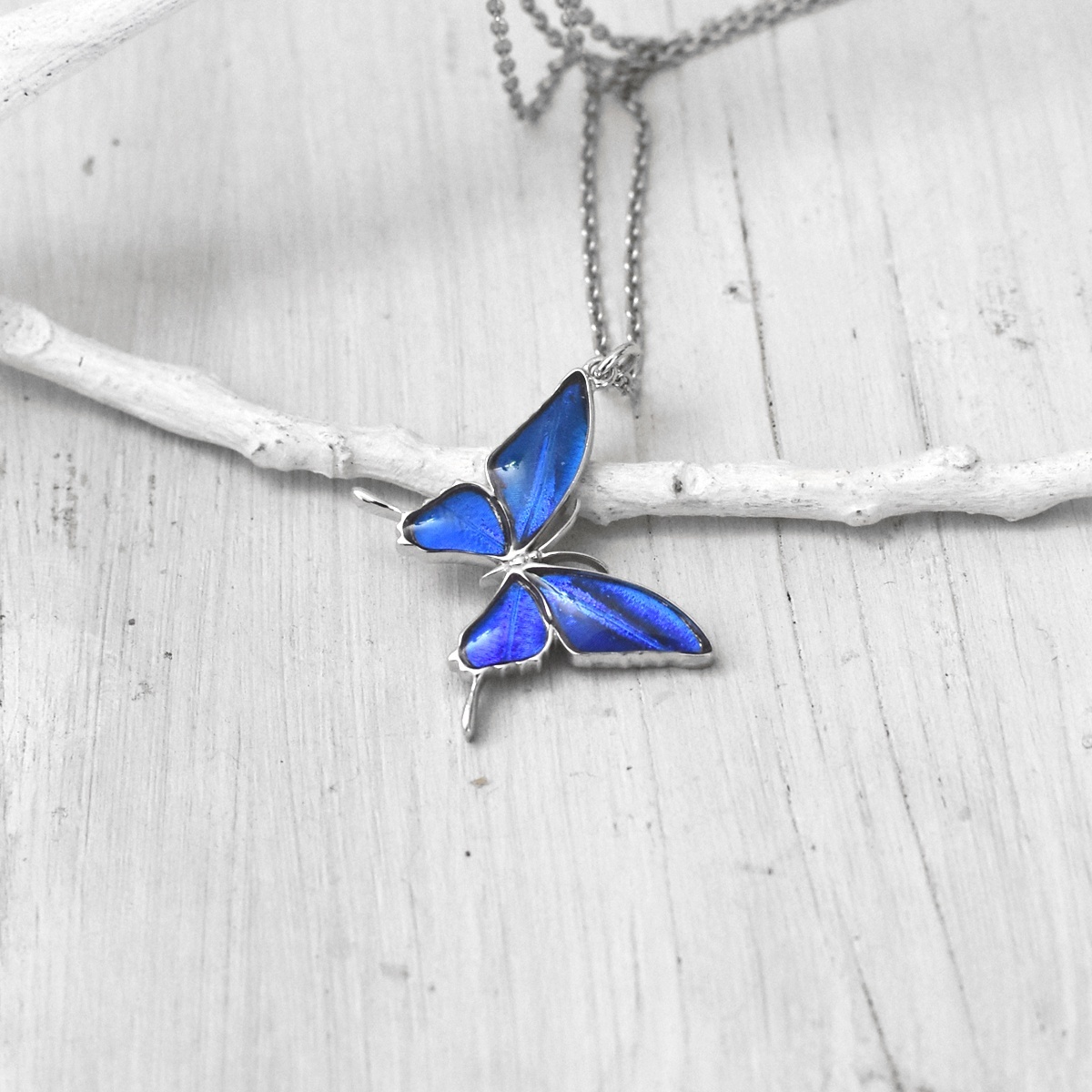 カキカモルフォ 蝶の翅 シルバー925 ペンダント ネックレス【Psyche