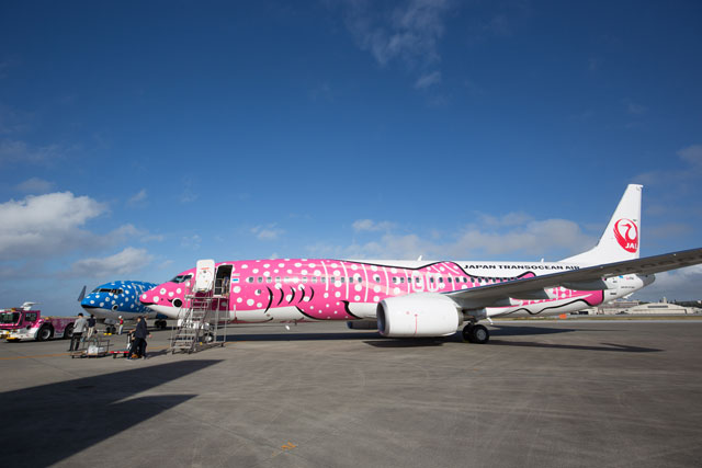 ジンベエ塗装が新旧勢ぞろい 写真特集・JTA新さくらジンベエ沖縄到着