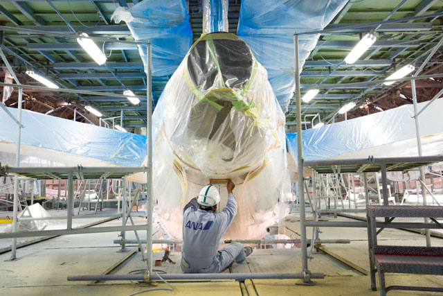 鯖塗装からトリトンへ 写真特集・ANA787 2号機リペイント