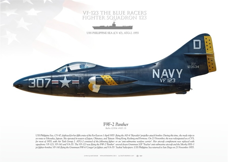 f9f-2-panther-vf-123-mb-138.jpg