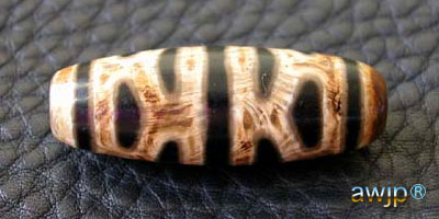 亀甲長寿天珠 亀甲長寿六眼 | チベット天珠専門店 awjp