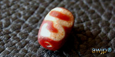 蓮花天珠 蓮華天珠 | チベット天珠専門店 awjp