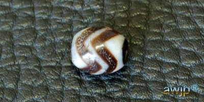 水紋天珠 虎牙水紋 | チベット天珠専門店 awjp