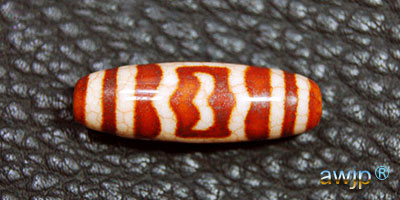 大鵬鳥天珠 大鵬鳥二眼 | チベット天珠専門店 awjp